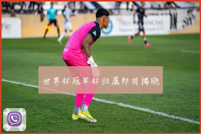 世界杯冠军杯归属即将揭晓