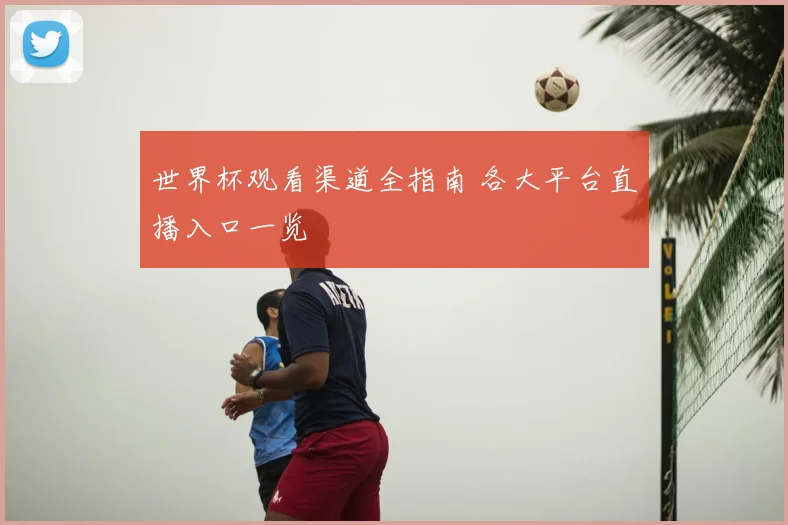 世界杯观看渠道全指南 各大平台直播入口一览