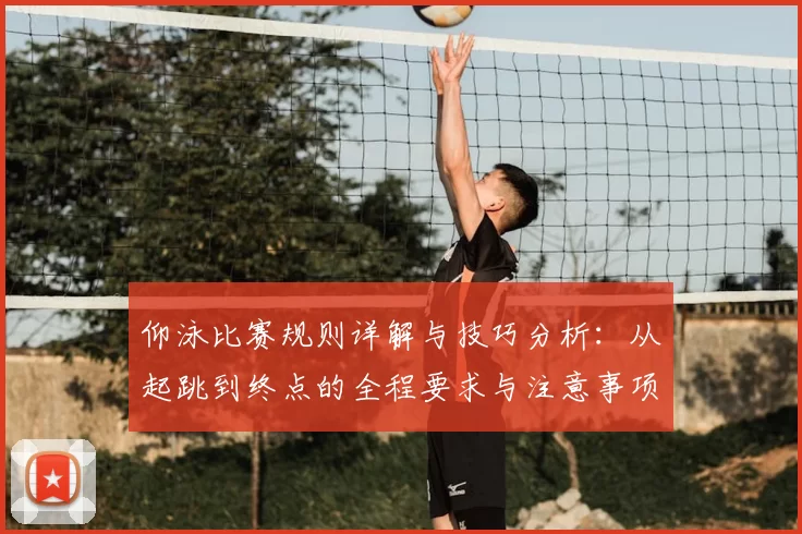 仰泳比赛规则详解与技巧分析：从起跳到终点的全程要求与注意事项