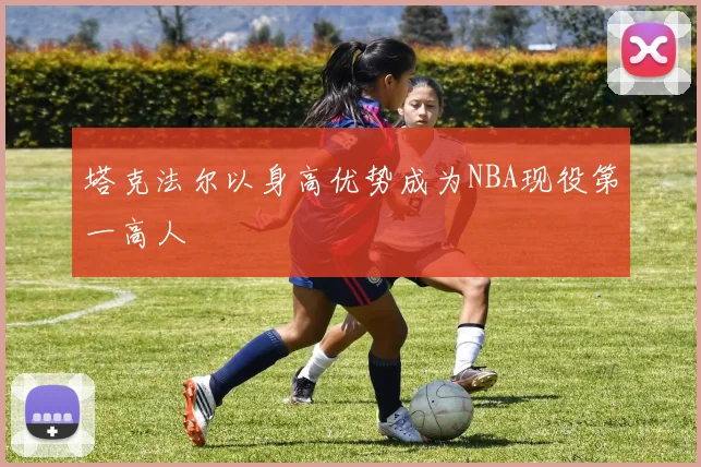塔克法尔以身高优势成为NBA现役第一高人
