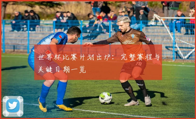 世界杯比赛计划出炉:完整赛程与关键日期一览