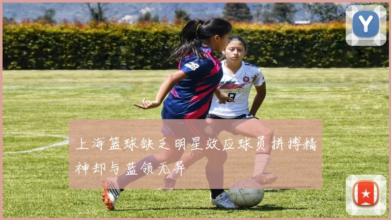 上海篮球缺乏明星效应球员拼搏精神却与蓝领无异