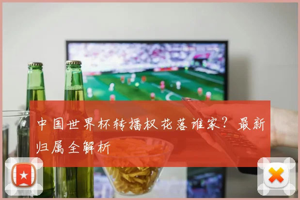 中国世界杯转播权花落谁家?最新归属全解析