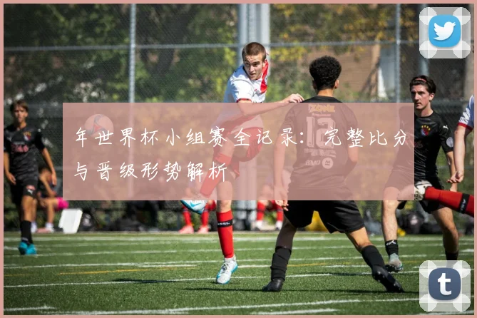年世界杯小组赛全记录:完整比分与晋级形势解析