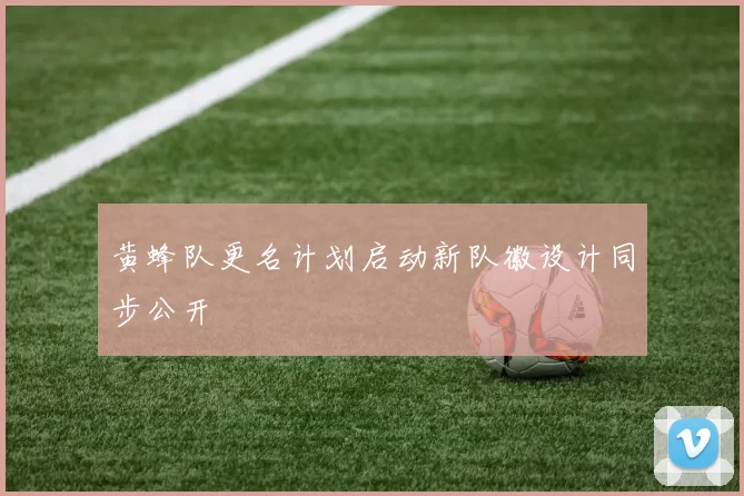 黄蜂队更名计划启动新队徽设计同步公开